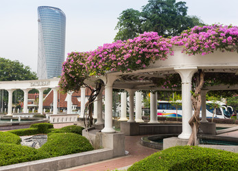 Similar image 8481162