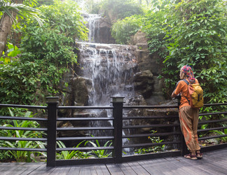 Similar image 8481181