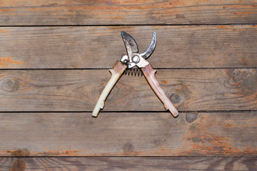 Similar image 8481408