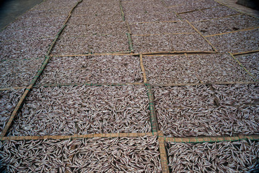 Similar image 8481519