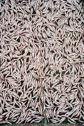 Similar image 8481520