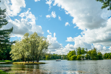 Similar image 8481679