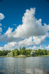 Similar image 8481726