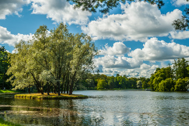 Similar image 8481727