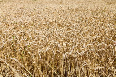 Similar image 8481764