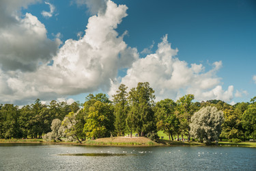 Similar image 8481782