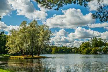 Similar image 8481796