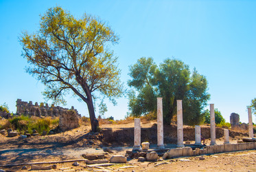 Similar image 8481824