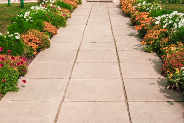 Similar image 8481846