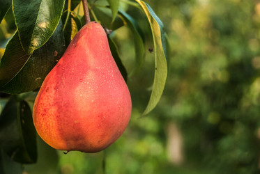 Similar image 8481855