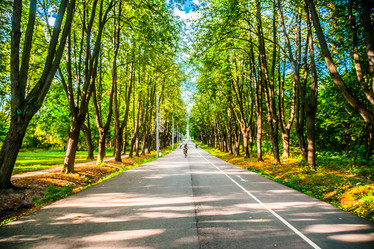 Similar image 8481890