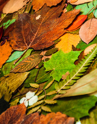 Similar image 8481911