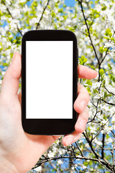 Similar image 8482052