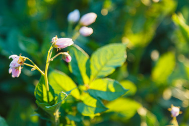 Similar image 8482064