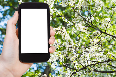 Similar image 8482101