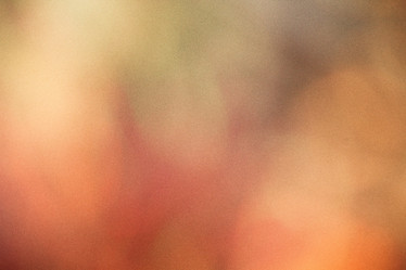 Similar image 8482137