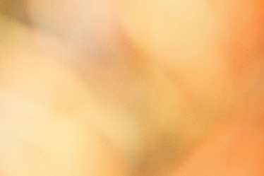 Similar image 8482141