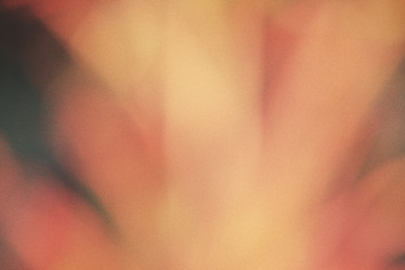 Similar image 8482146