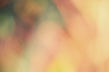 Similar image 8482148