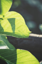 Similar image 8482216