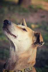 Similar image 8482217