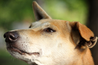 Similar image 8482218