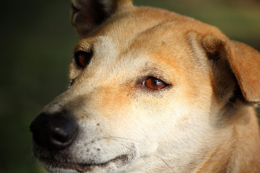 Similar image 8482219