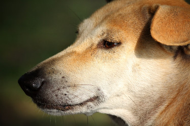 Similar image 8482220