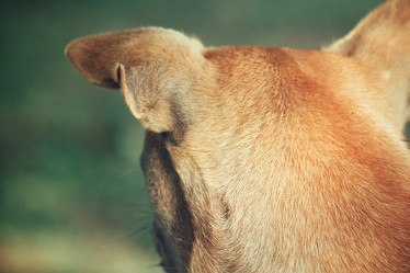 Similar image 8482221