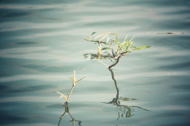 Similar image 8482222