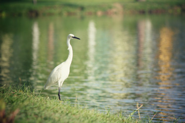 Similar image 8482223