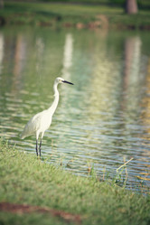 Similar image 8482224