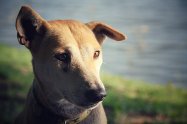 Similar image 8482225