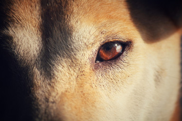 Similar image 8482226