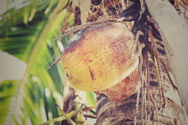 Similar image 8482227