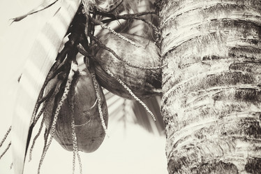 Similar image 8482228