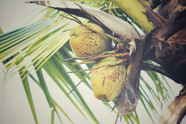 Similar image 8482230