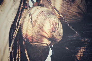 Similar image 8482232