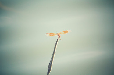 Similar image 8482234