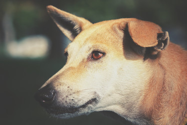 Similar image 8482235