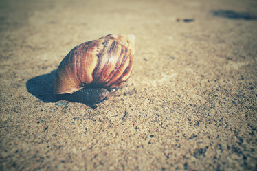 Similar image 8482236