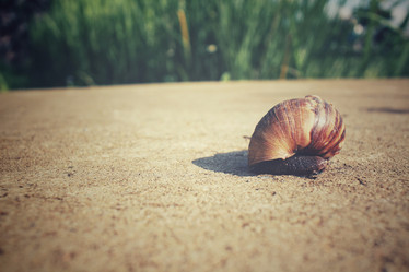 Similar image 8482237