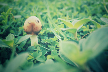 Similar image 8482253