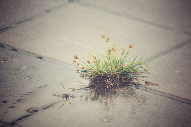 Similar image 8482254