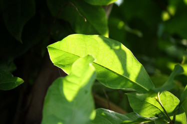 Similar image 8482256