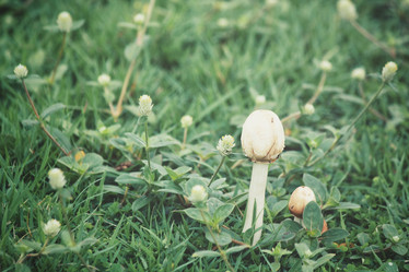 Similar image 8482257