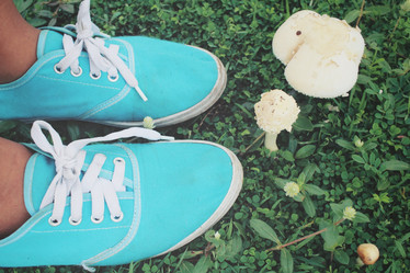 Similar image 8482265