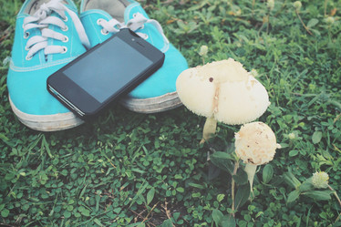 Similar image 8482268