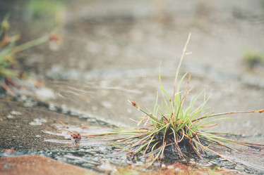 Similar image 8482275