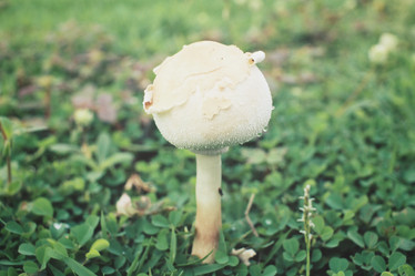 Similar image 8482305